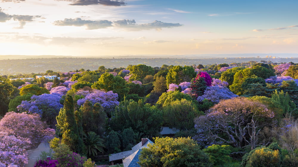 Johannesburg photo